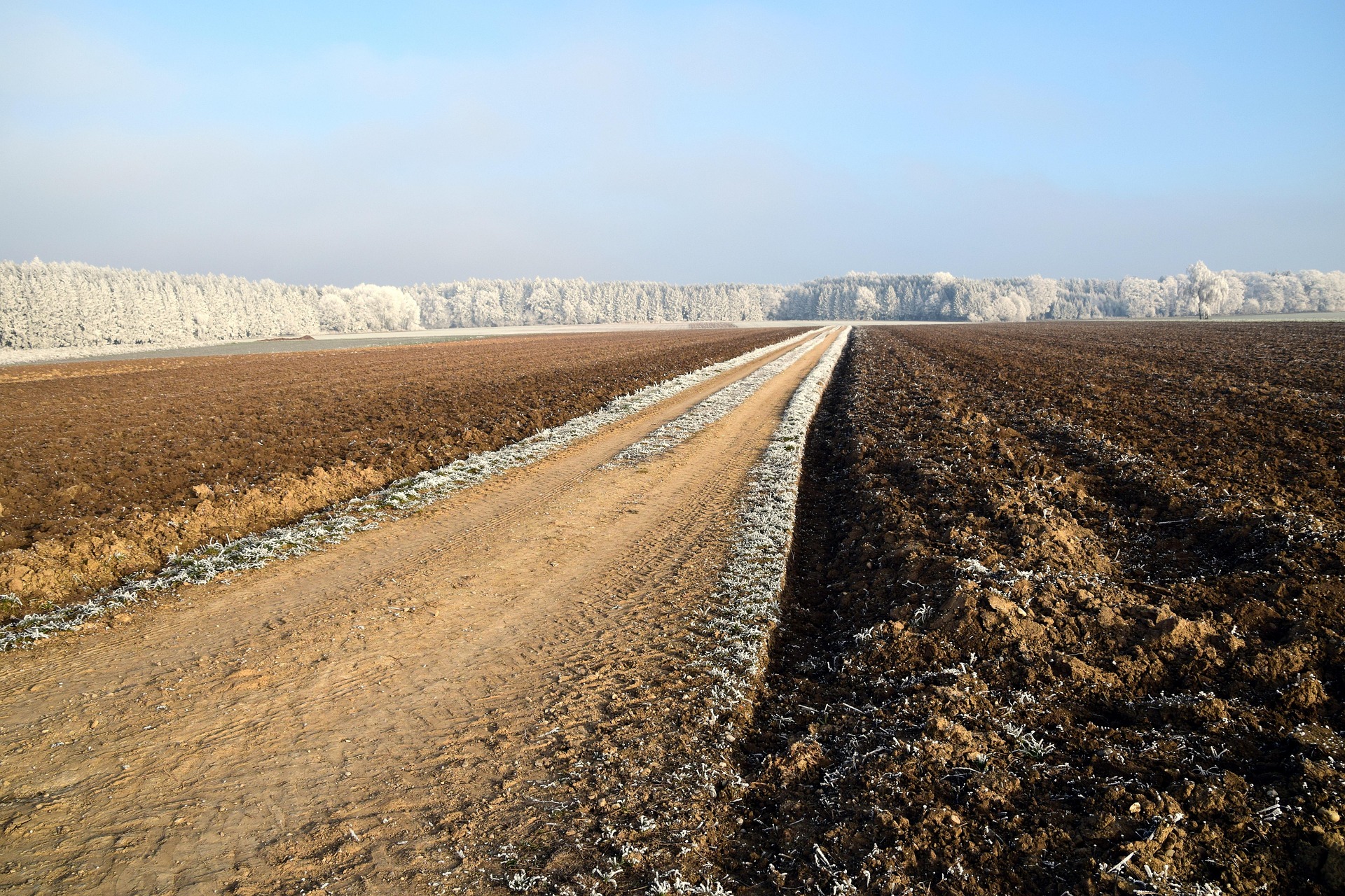Weg in Ungewisse